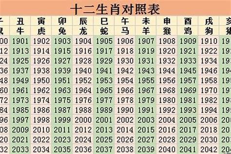 2023年是什么命|2023年属什么生肖 2023年属什么生肖什么命